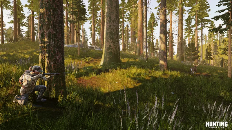 Hunting Simulator (NSW)