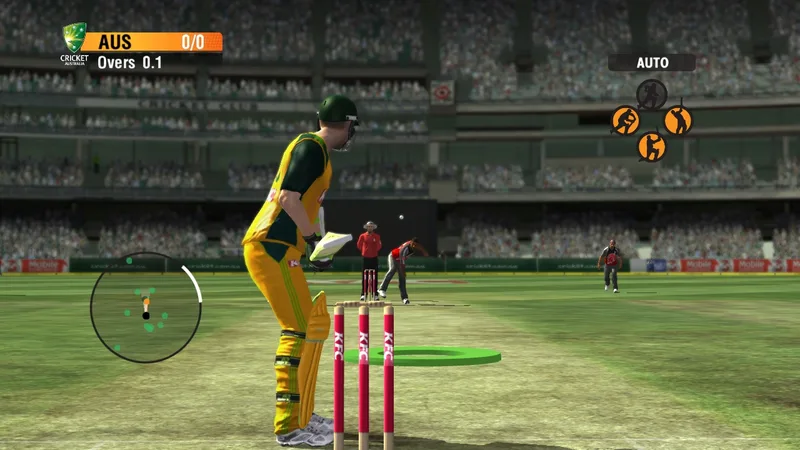 International Cricket 2010