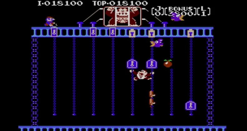 Donkey Kong Jr. (WII)